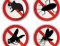 Disinfestazione
